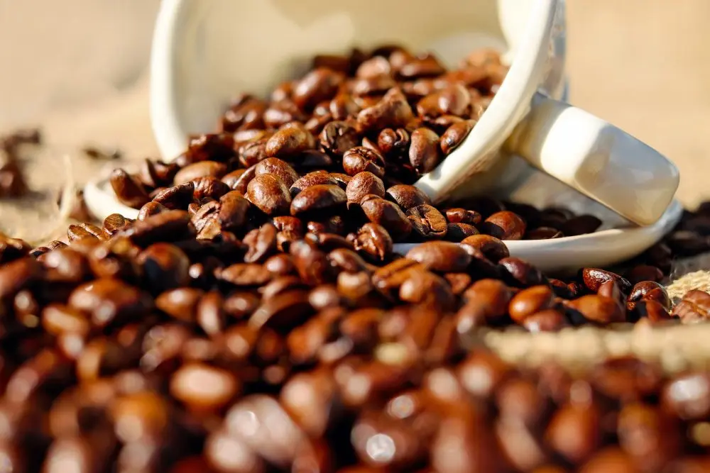 BALI KINTAMANI 250g