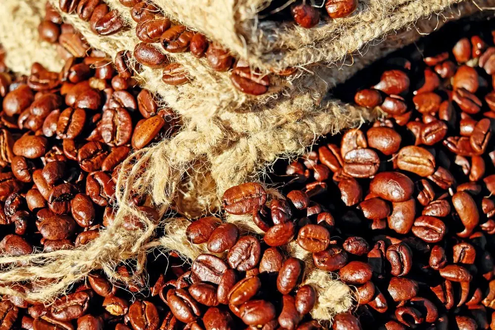 ETIOPIA SIDAMO 1000g