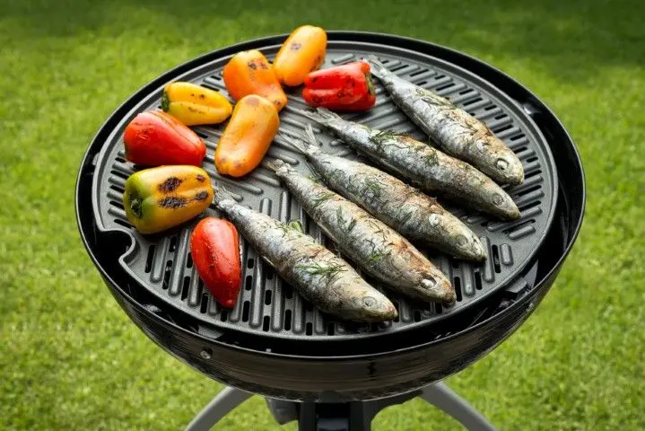 Grilovací rošt s nepřilnavým povrchem CADAC Grillogas, Grillochef