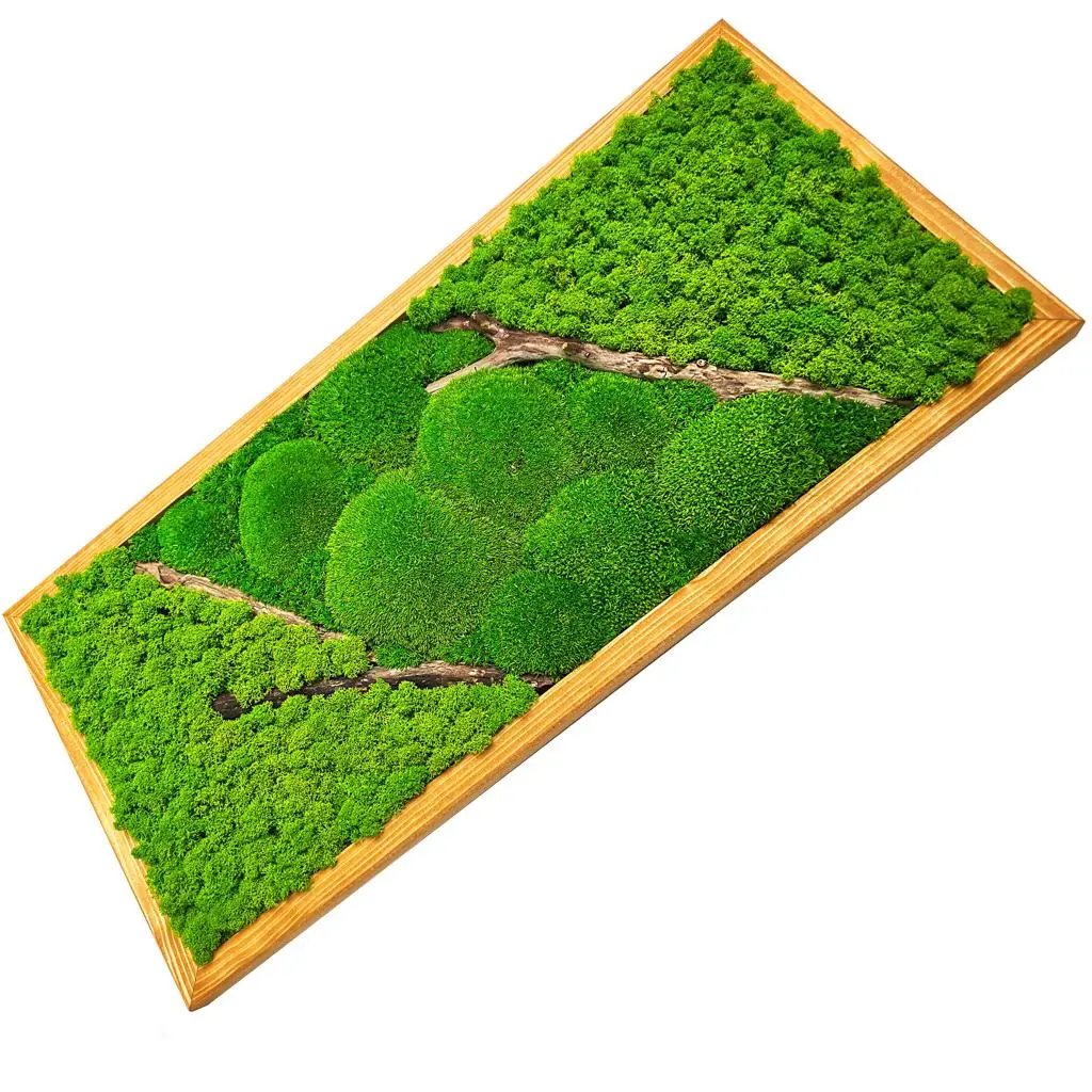 Velký mechový obraz se dřevem 75x35 cm