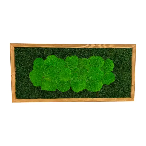 Velký mechový obraz na zeď 75x35 cm