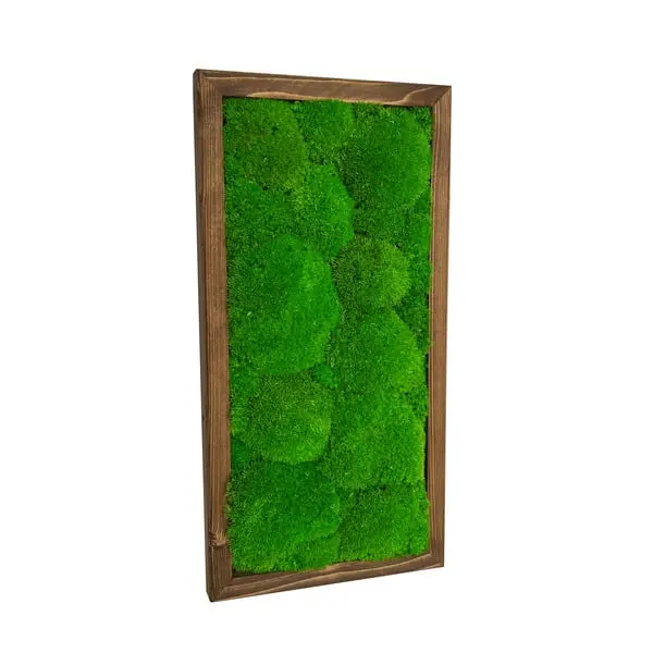 Živý obraz z mechu na zeď 25x50 cm