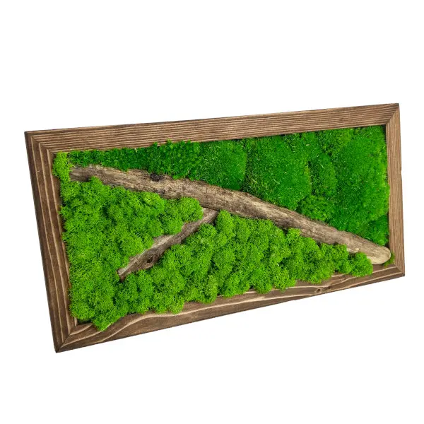 Mechový obraz se dřevem 40x20 cm