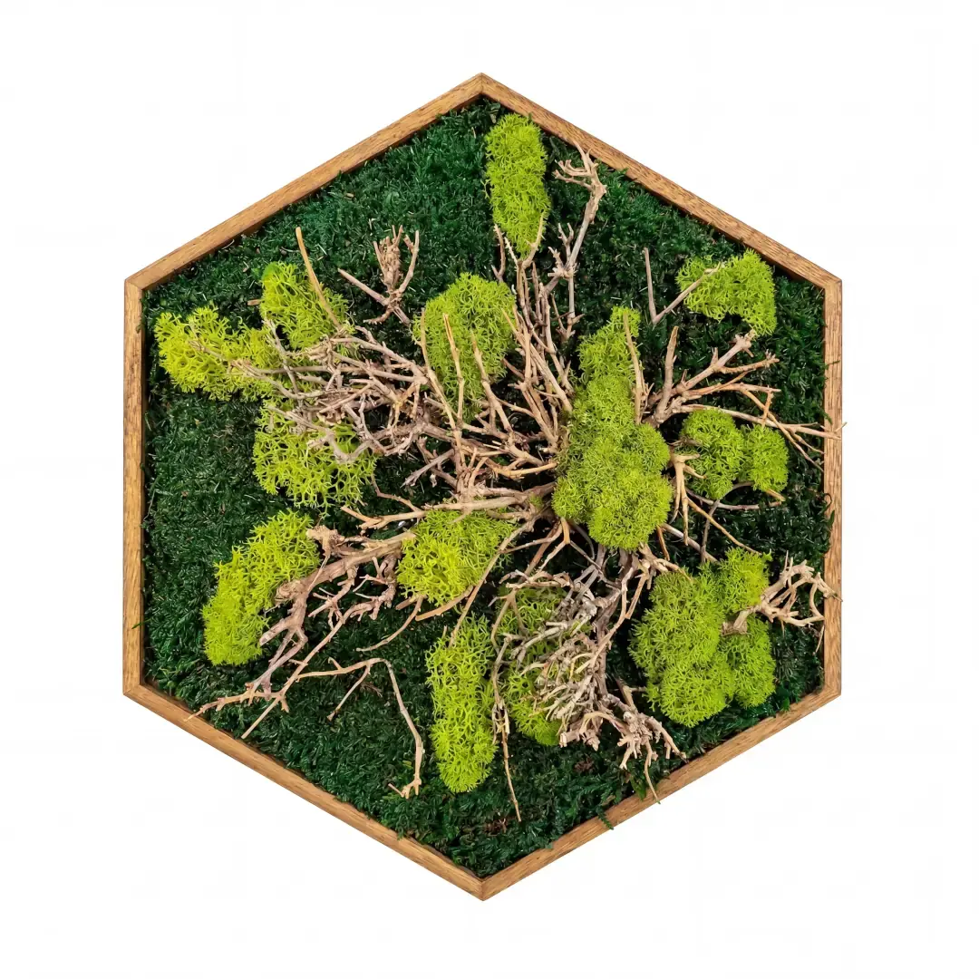 Mechový obraz – Kořeny zeleně (30 cm)