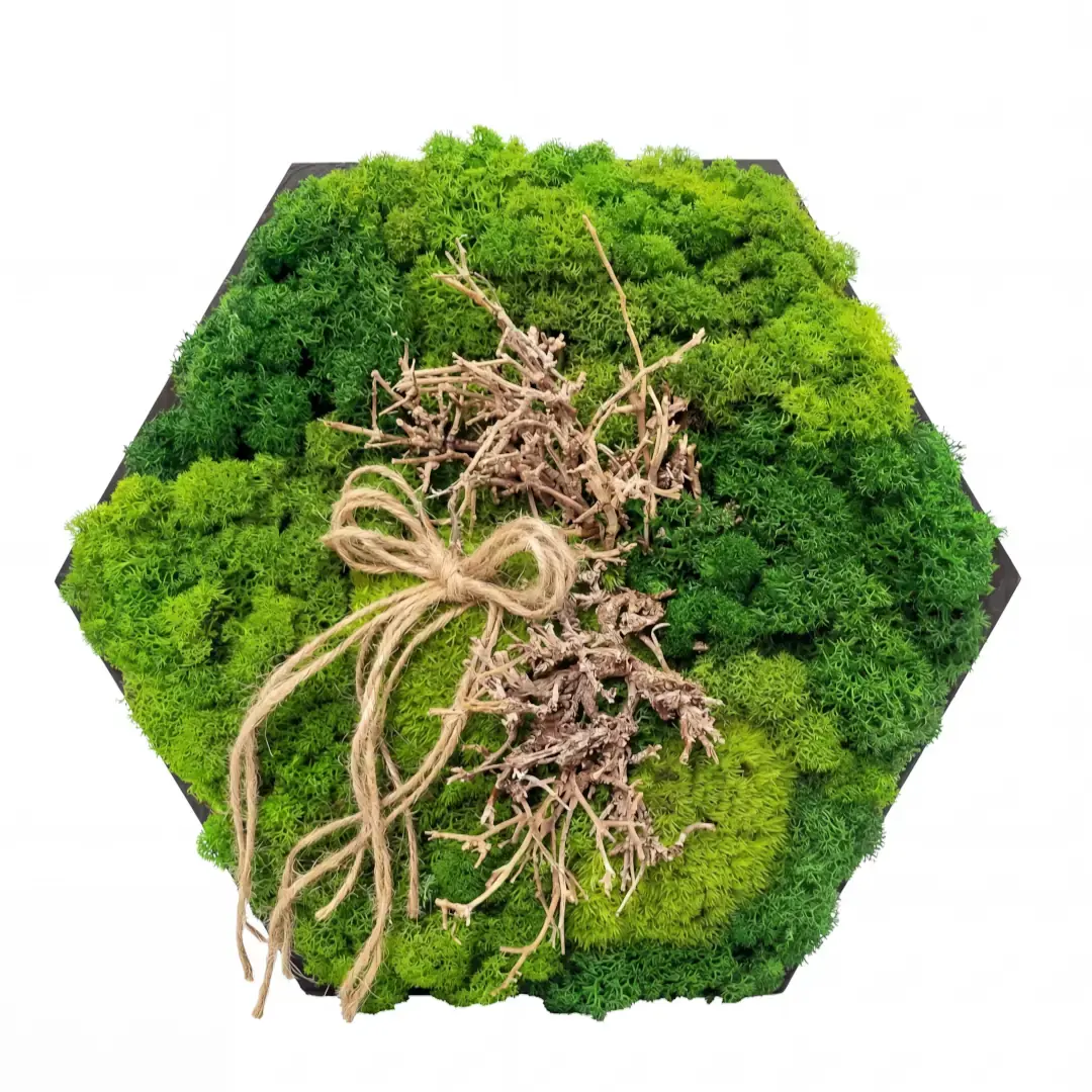 Mechový obraz – Uzel lesa (30 cm)