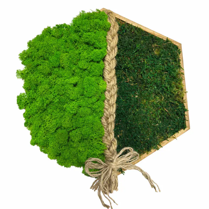 Mechový obraz - Dva světy (30cm)
