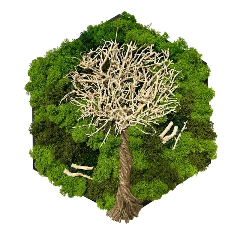 Mechový obraz strom v černém rámu - Podzimní strom (30cm)