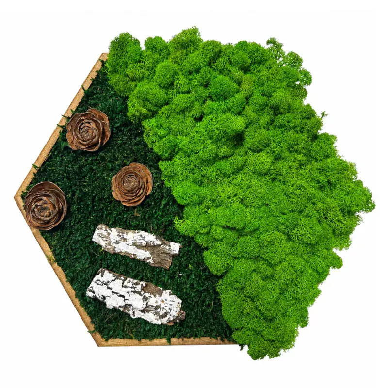 Mechový obraz hexagon - Velký ježek (30cm)