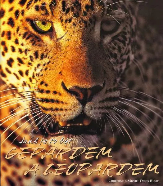 Jaké je to být gepardem a leopardem