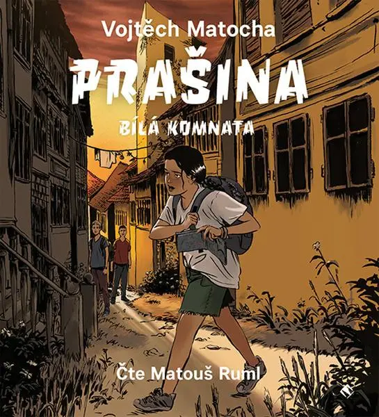 Prašina