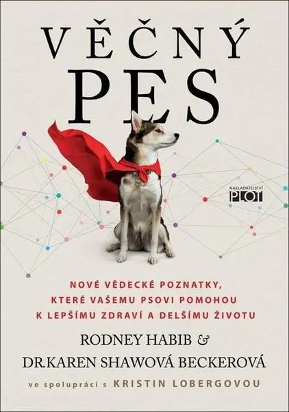Dokonalá Láska Věčný pes
