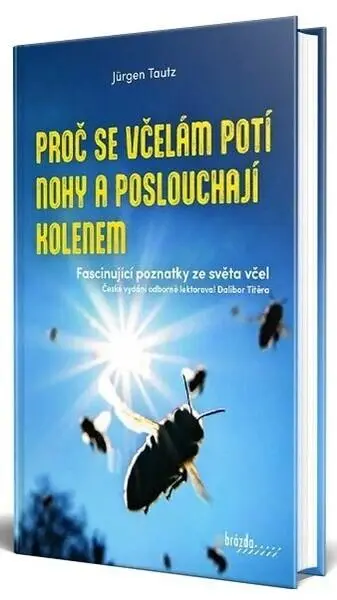 Proč se včelám potí nohy a poslouchají kolenem - Jürgen Tautz