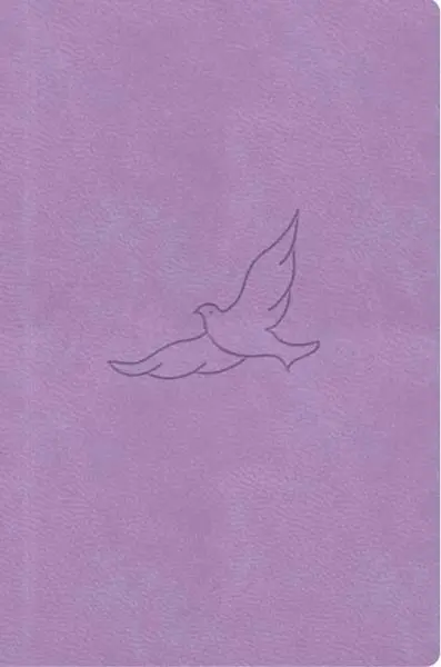 Bible, překlad 21. století