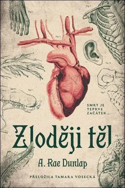 Zloději těl