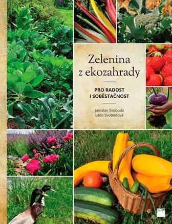 Zelenina z ekozahrady
