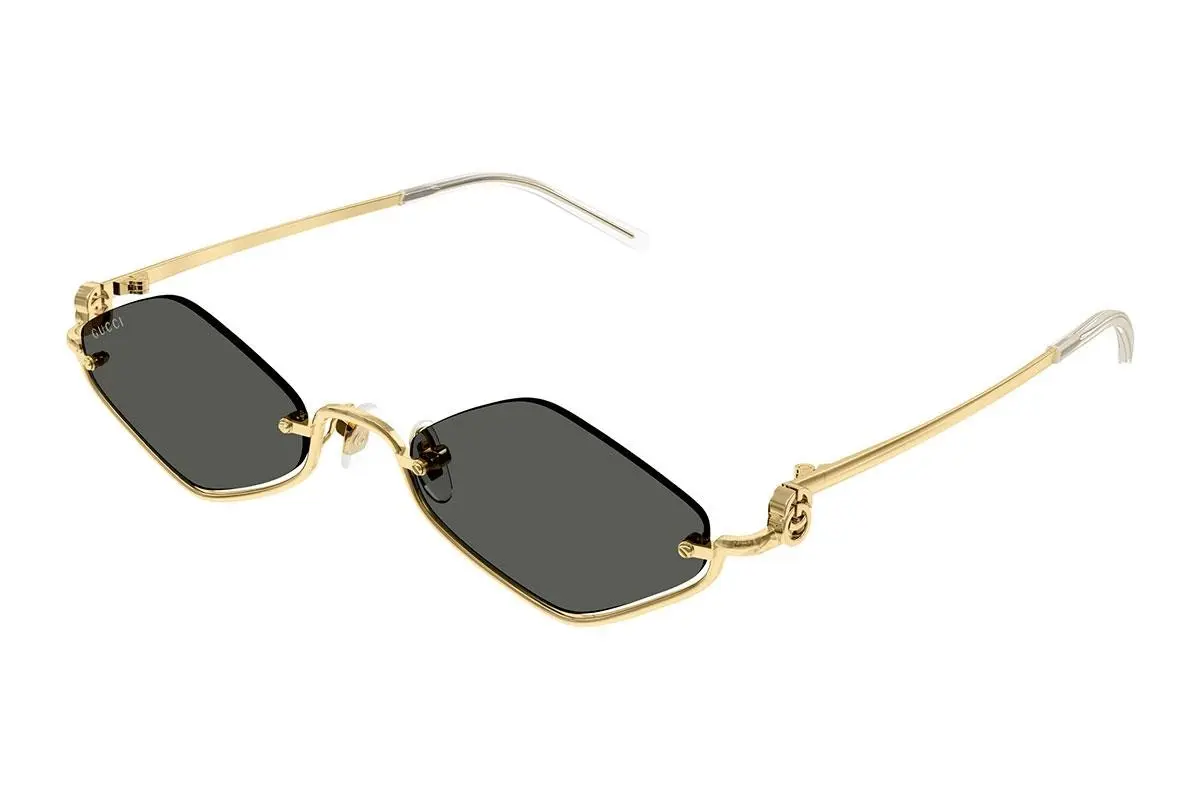 Gucci GG1604S 001 53