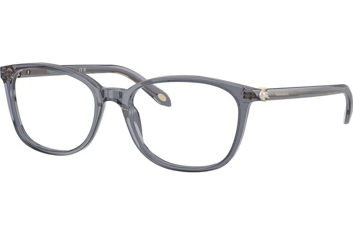 Tiffany & Co. TF2109HB 8405 - L (53)