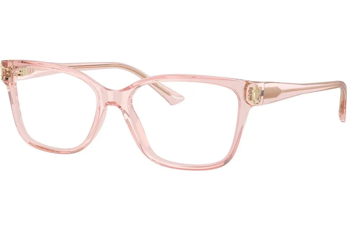 Jimmy Choo JC3012 5034 - M (53)