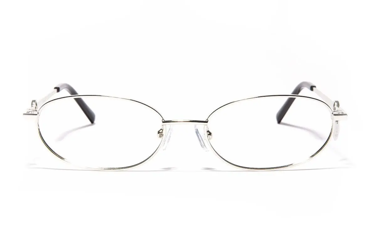 Eyerim Studio Lynx Silver blue-light [non-prescription] - ONE SIZE (55)