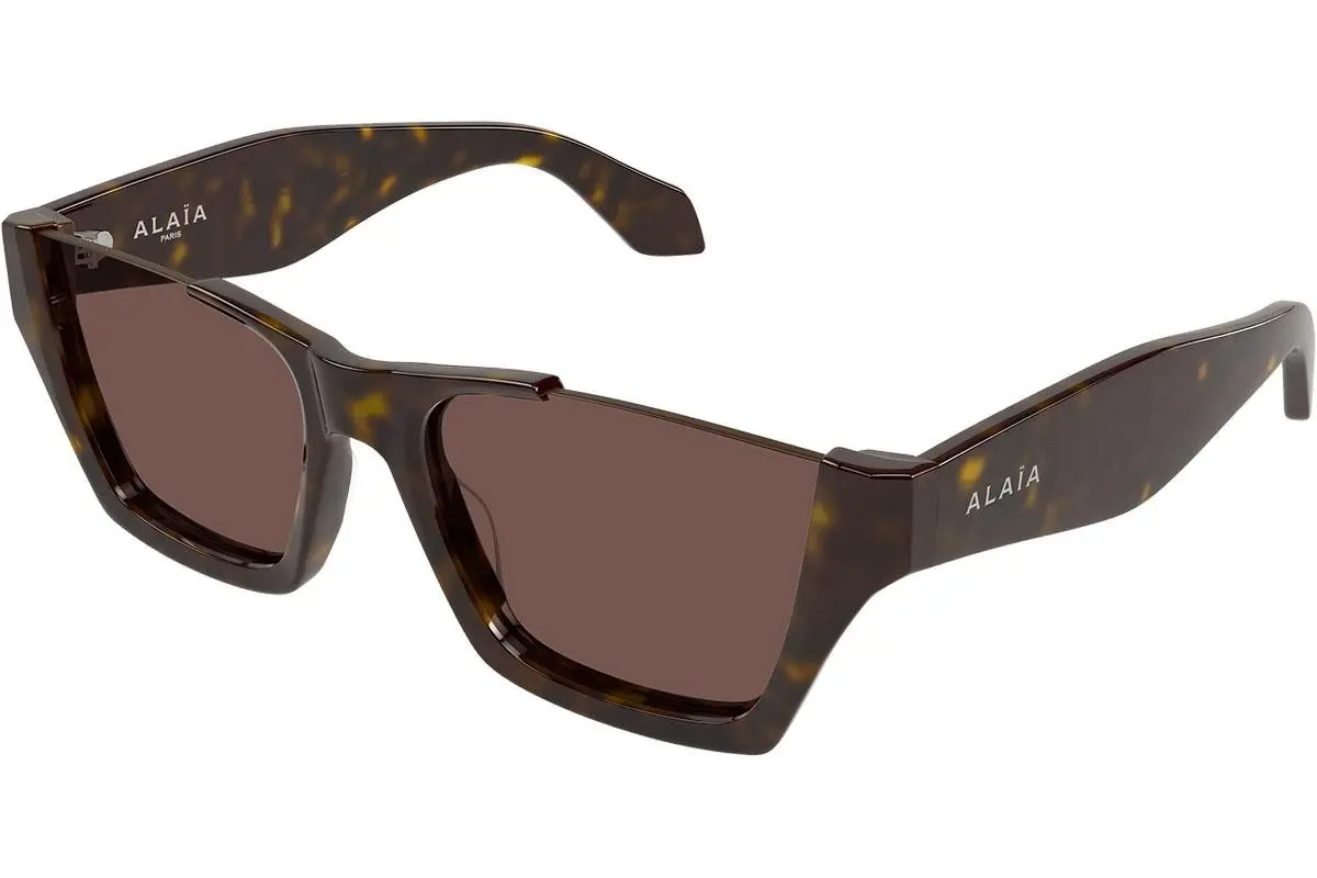 Alaia AA0081S 005 - ONE SIZE (58)