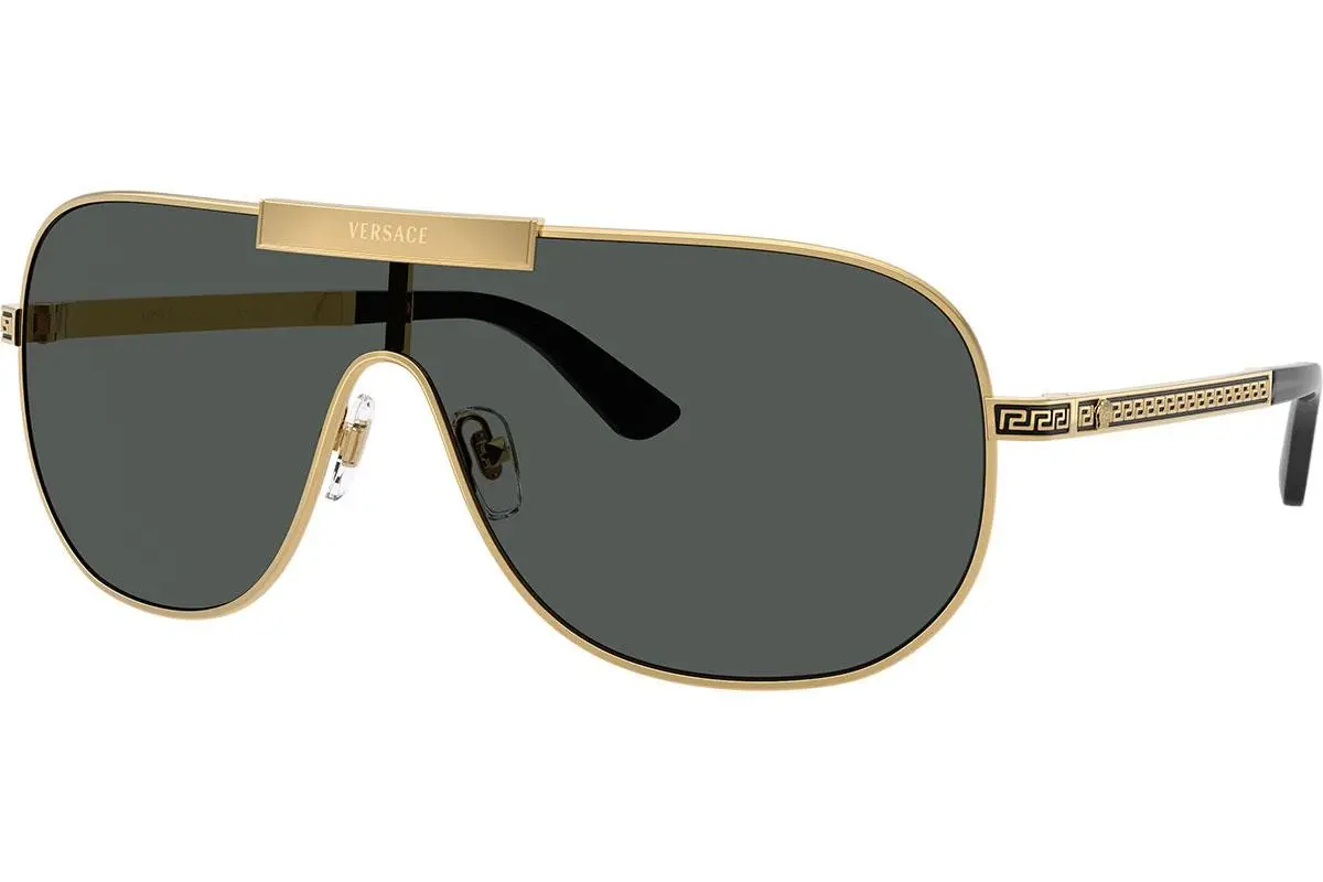Versace 0VE 2293 100287 40