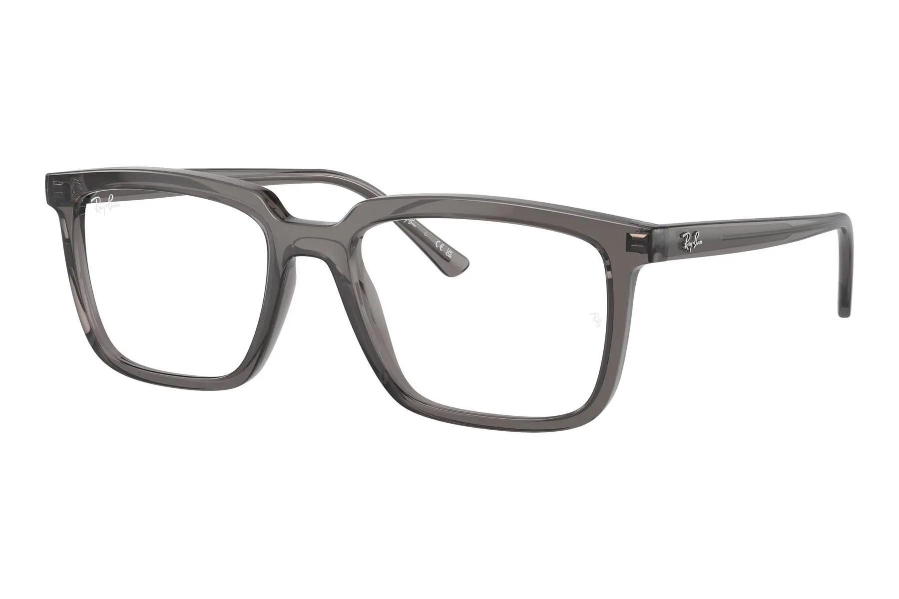 Ray-Ban Alain RX7239 8257 - L (54)