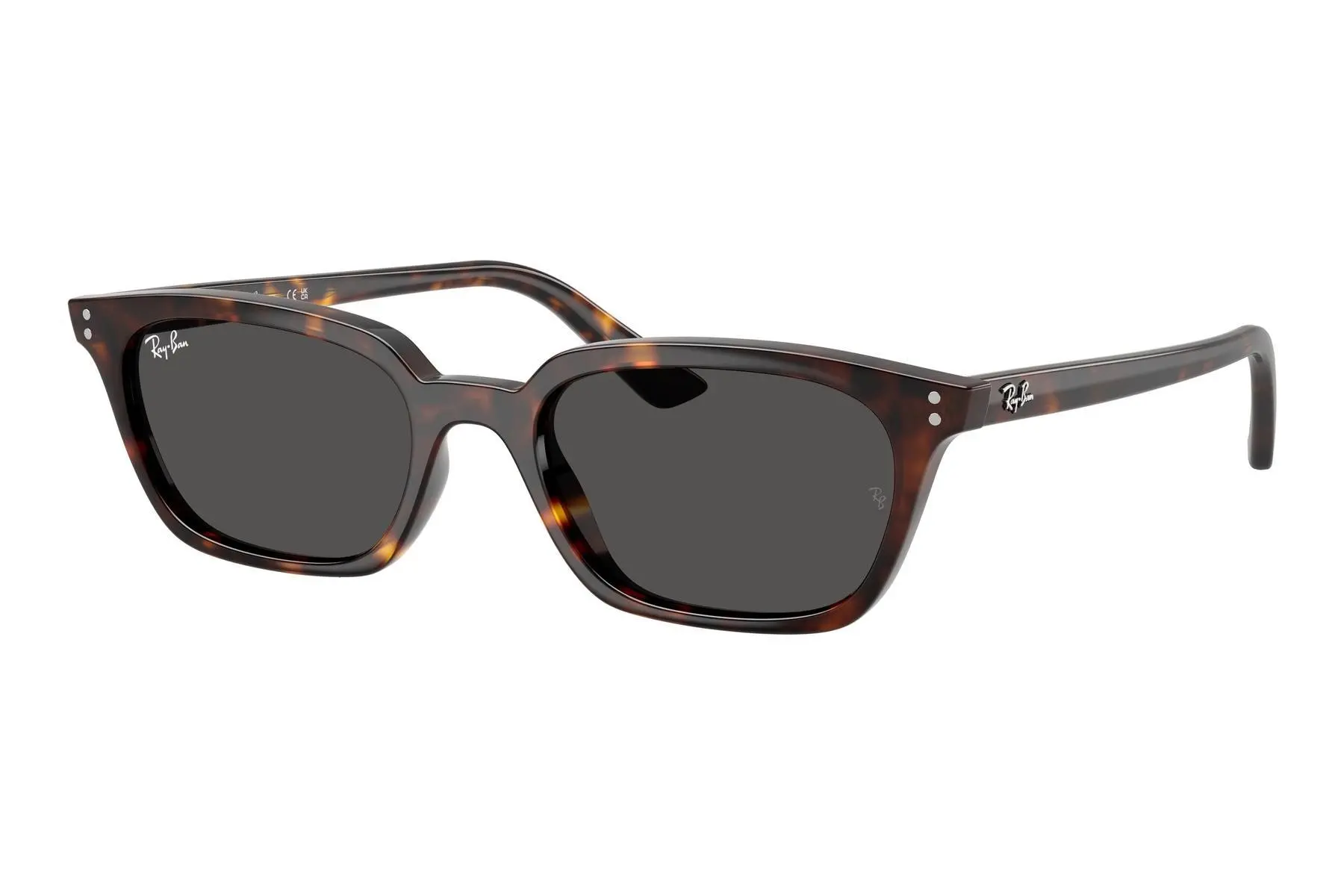 Ray-Ban Zaya RB4456 135987 - L (53)
