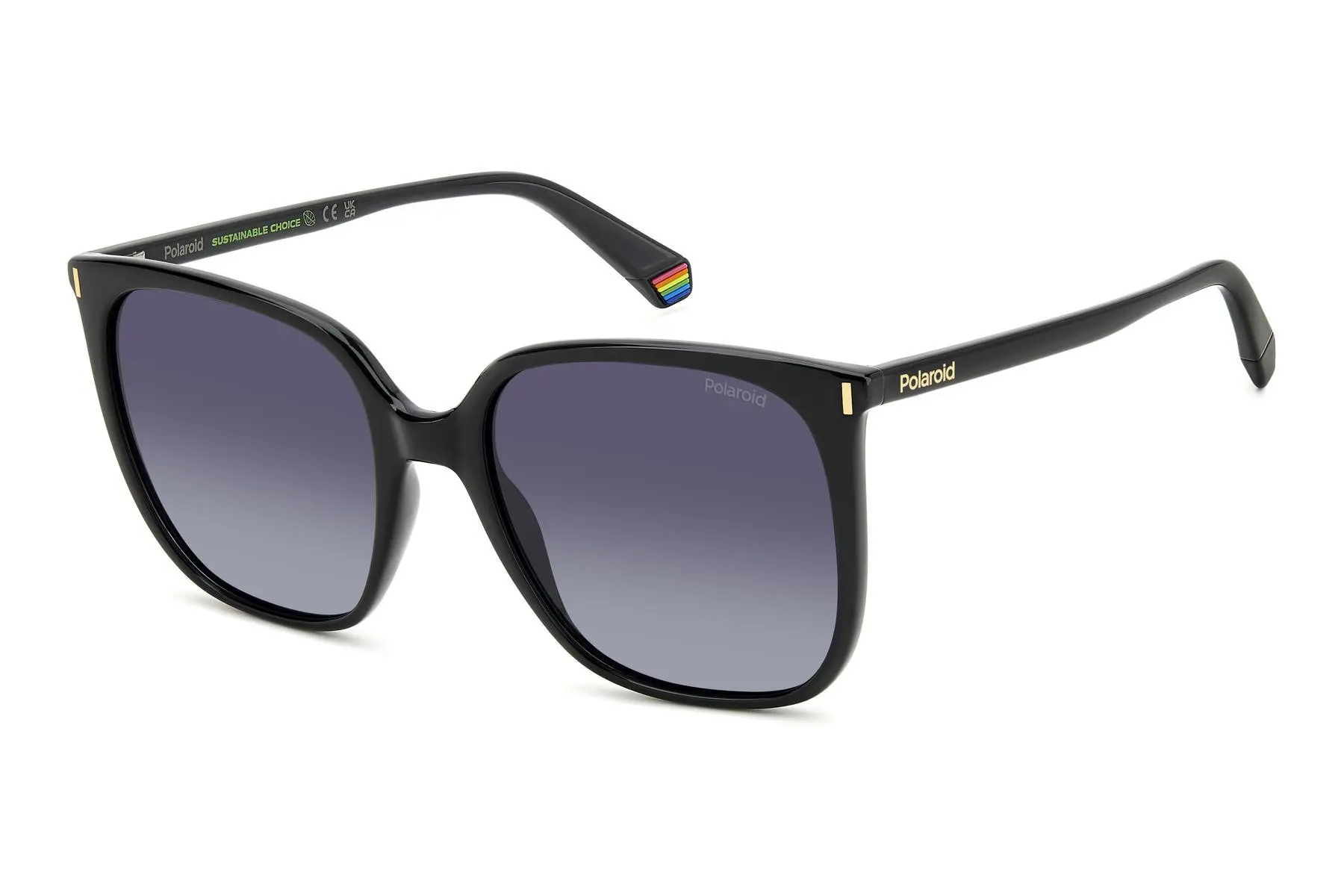 Polaroid PLD 6218/S 807/WJ