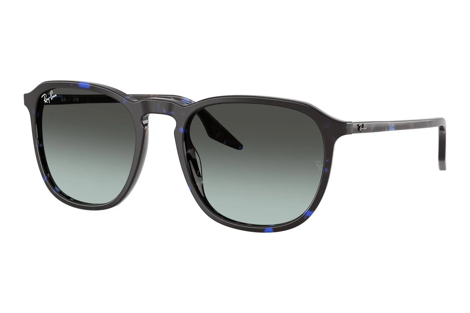 Ray-Ban RB2203 1430GK - M (52)