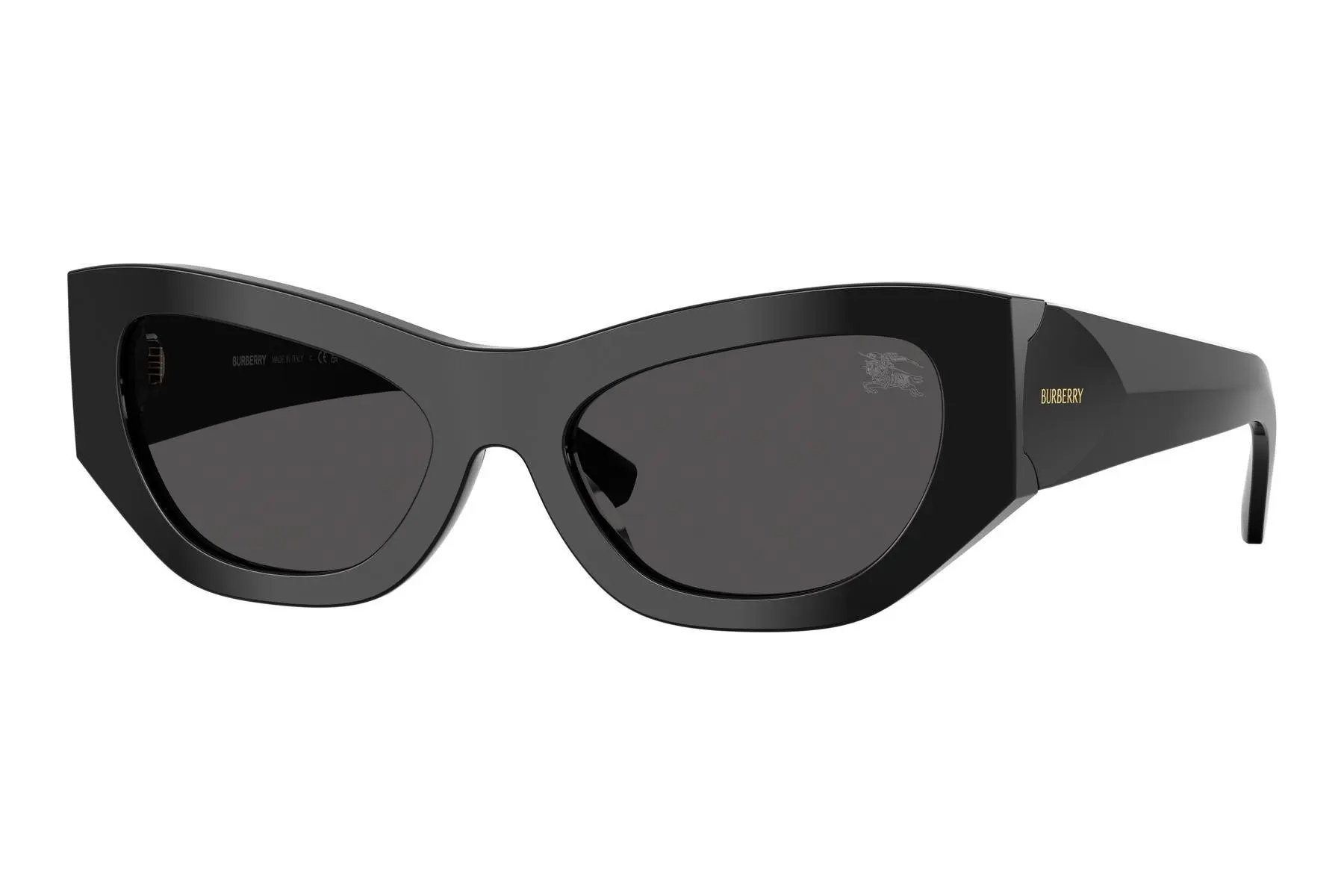Burberry BE4450U 300187 - ONE SIZE (54)