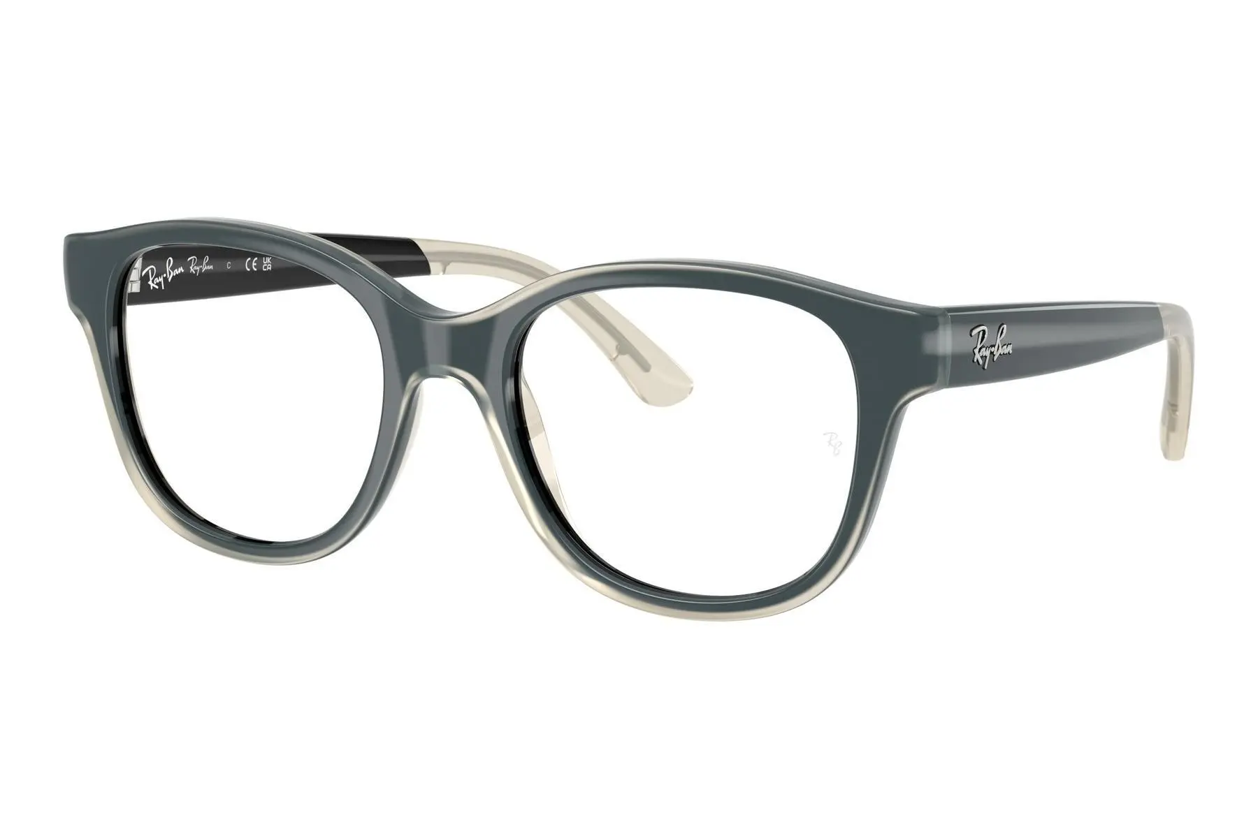 Ray-Ban Junior RY1950 7202 -