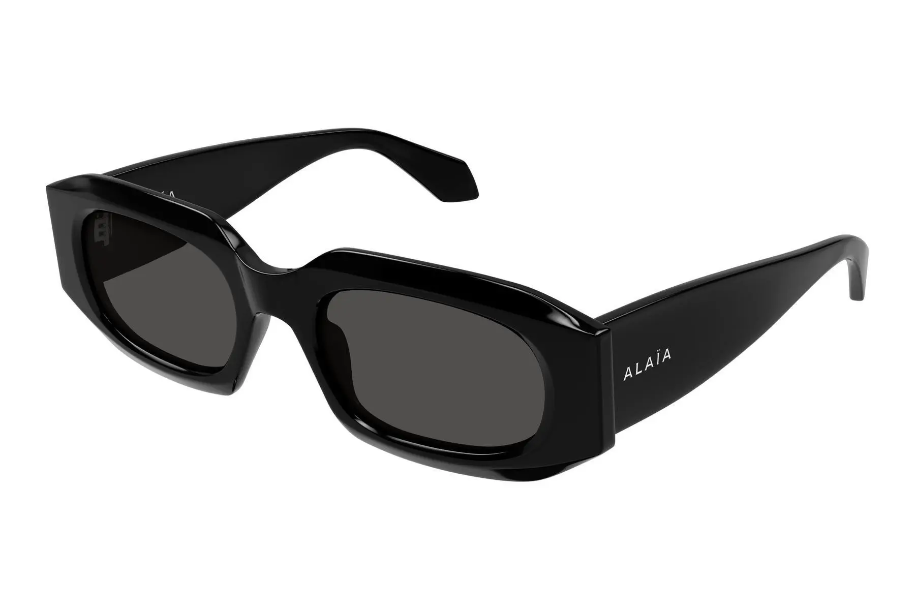 Alaia AA0086S 001 - ONE SIZE (53)