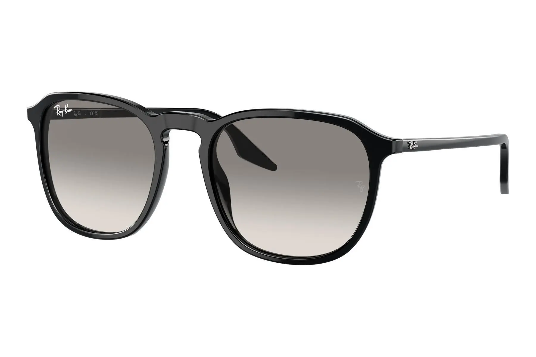 Ray-Ban RB2203 901/32 - L (55)