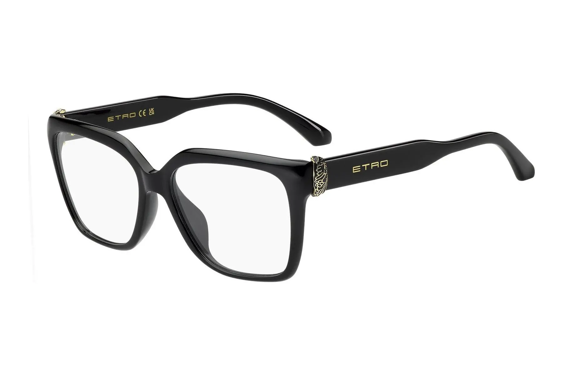 Etro ETRO0158/G 807 - ONE SIZE (54)