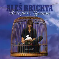 Růže pro Algernon (CD) - Aleš Brichta