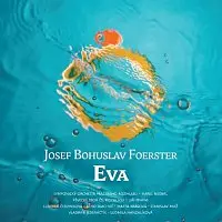 2CD Various: Foerster: Eva