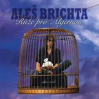 Aleš Brichta – Růže pro Algernon (Remastered 2026) LP