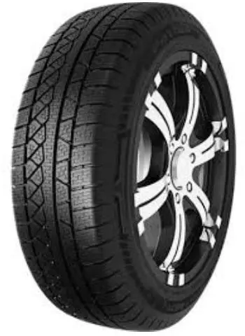 Petlas EXPLERO WINTER W671 205/55 R19 97H