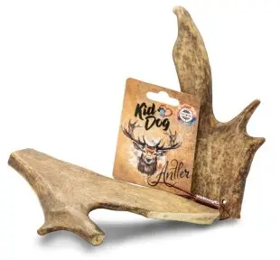 KidDog Antler Dančí paroh celý XL