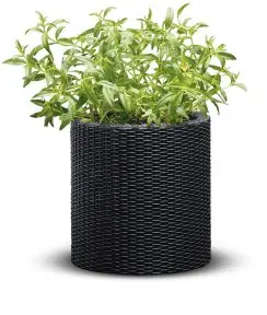 Keter Cylinder květináč S