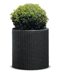 Keter Cylinder květináč L