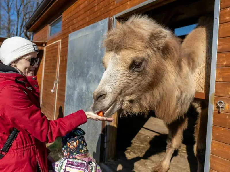 Zážitek - VIP vstup do Zoo Tábor s ošetřovatelem až pro 4 osoby Zážitky Jihočeský kraj: Od adrenalinu po wellness