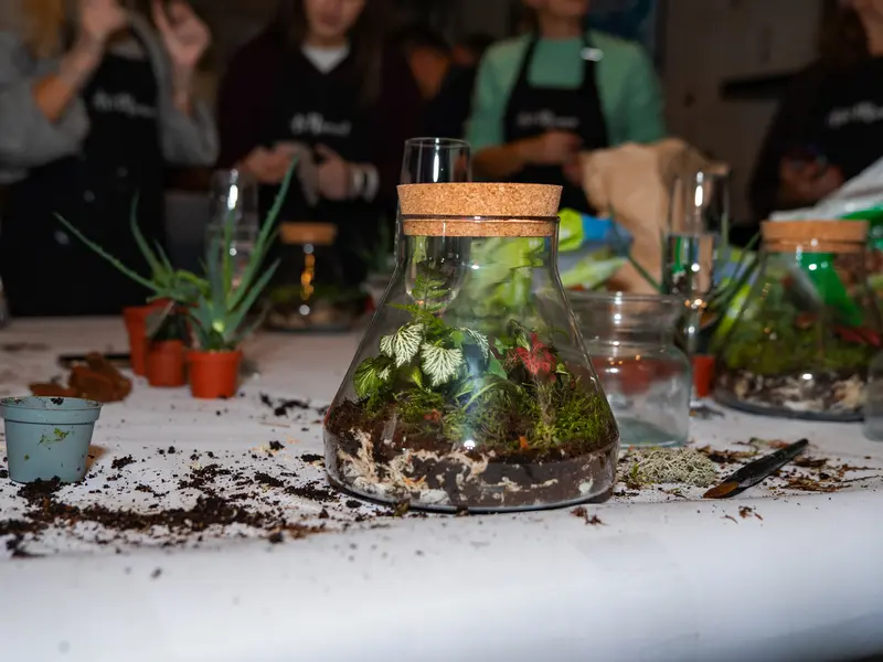 Zážitek - Kreativní workshop: Výroba mechárií Co dělat v Praze? Vyrazte za zážitky