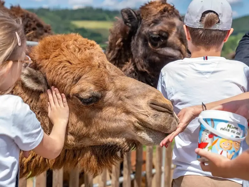 Zážitek - Celodenní vstup do Farmaparku Soběhrdy Vyrazte za zážitky do Středočeského kraje