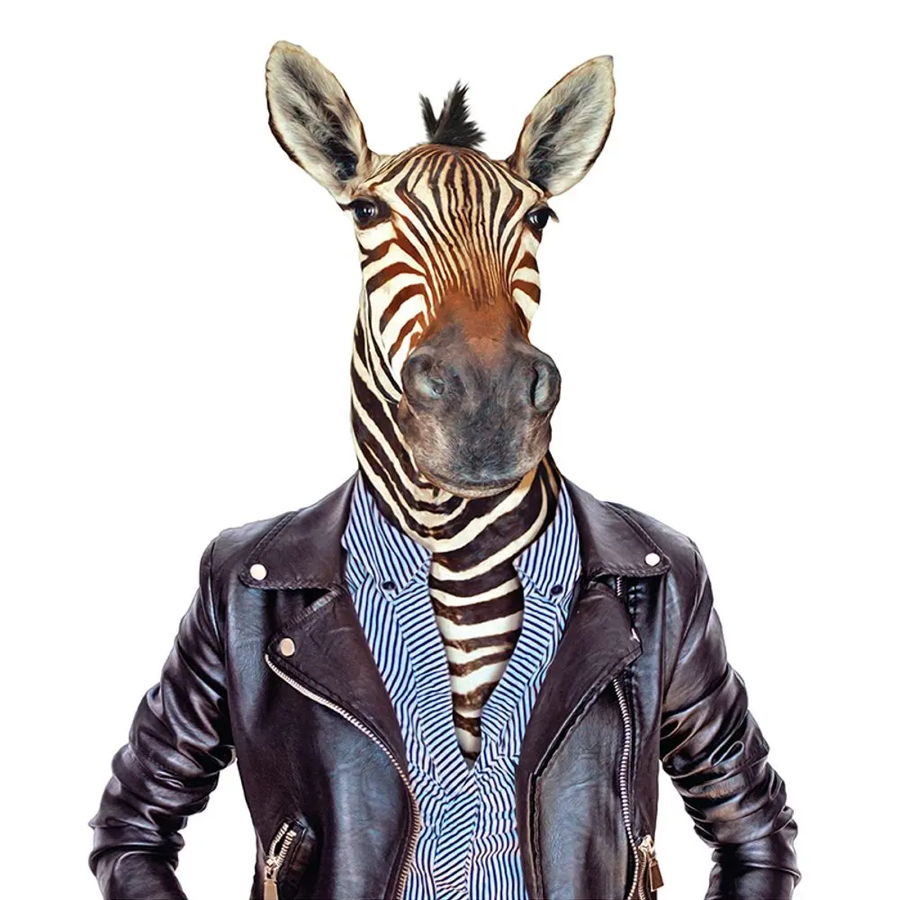 Cadence Transferový obrázek na textil Cadence, 21x30 cm - Zebra