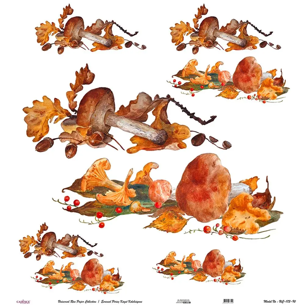 Cadence Rýžový papír Cadence v roli, 90x90 cm - Houby