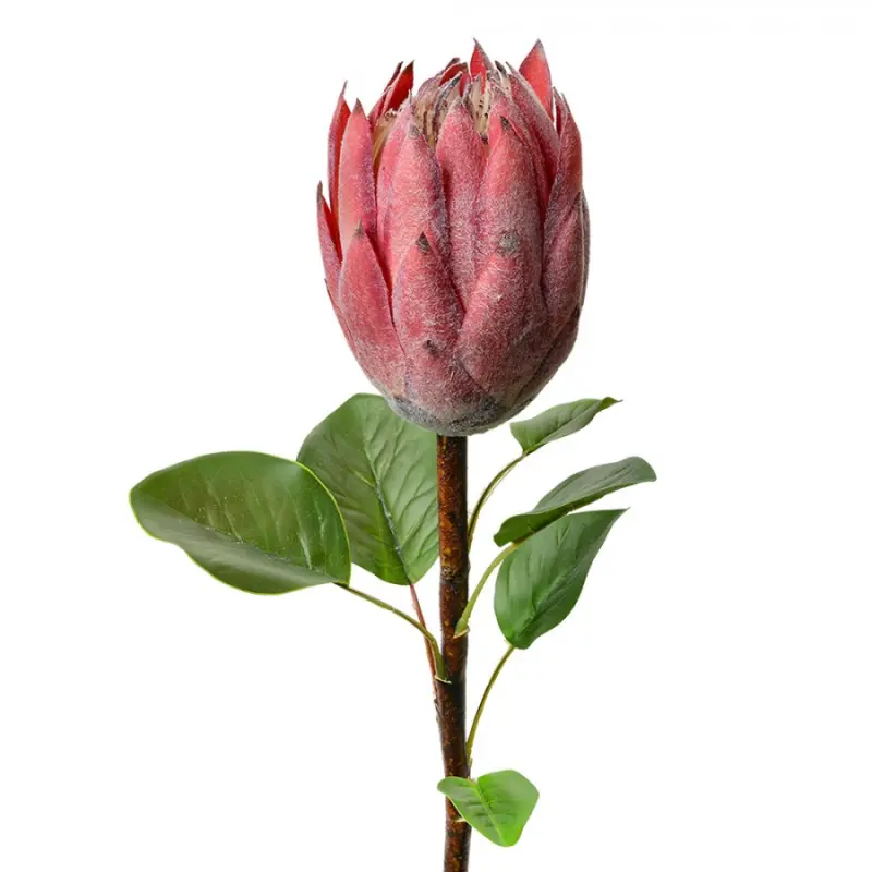 Umělá rostlina růžová protea – 65 cm