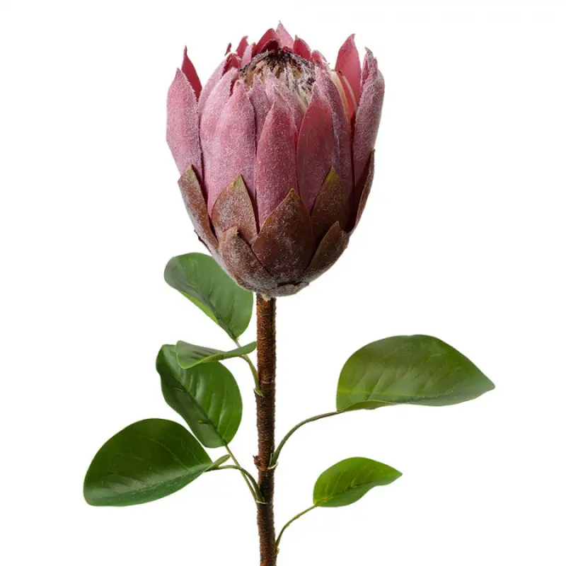 Umělá rostlina fialovo-růžová protea – 65 cm