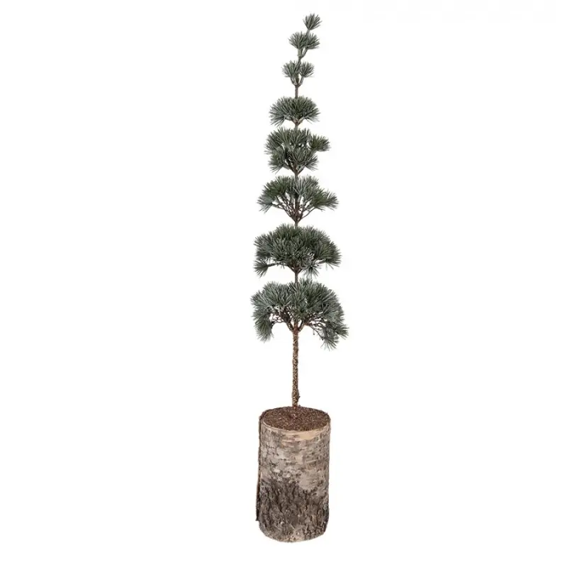 Umělý stromek na podstavci ve tvaru kmene Aanten L – 15x15x80 cm