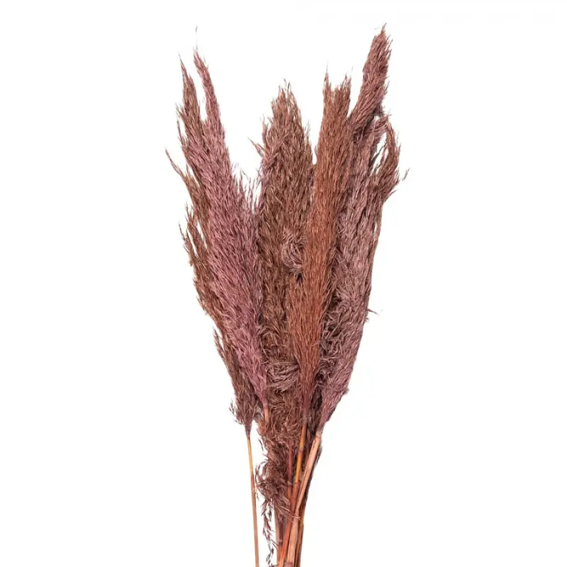 Růžová kytice sušené květy bambusu Bamboo – 100 cm